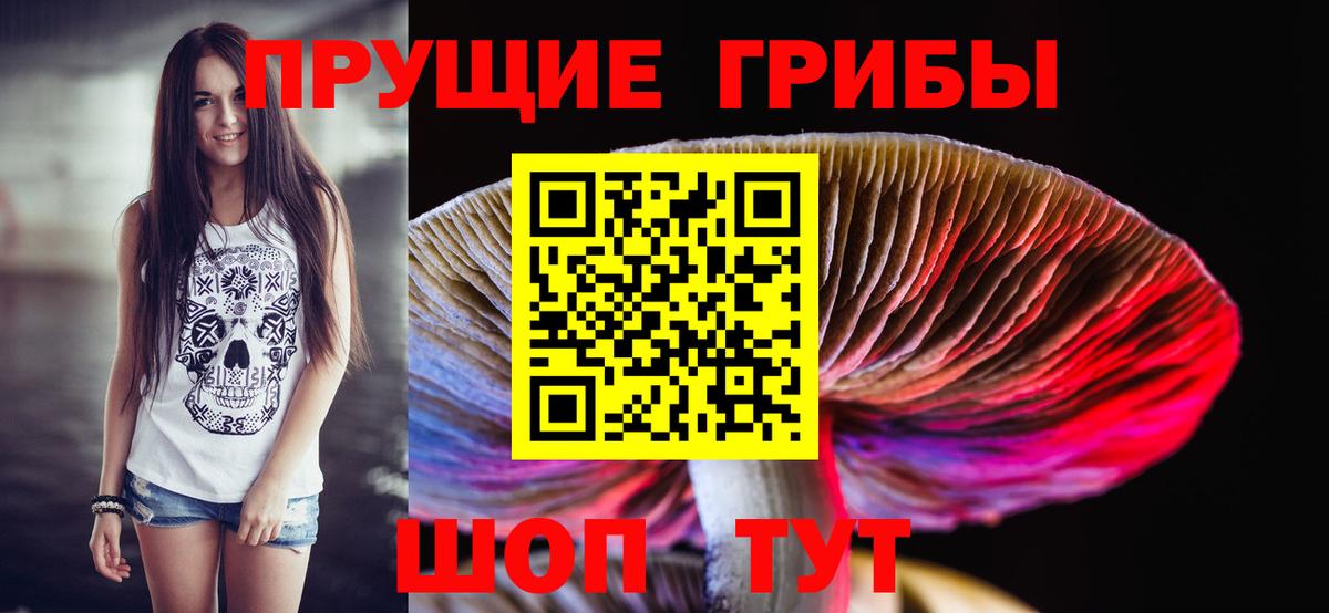 Галлюциногенные грибы прущие грибы  Вход с VPN  Галлюциногенные грибы MAGIC MUSHROOMS  Вышний Волочёк 